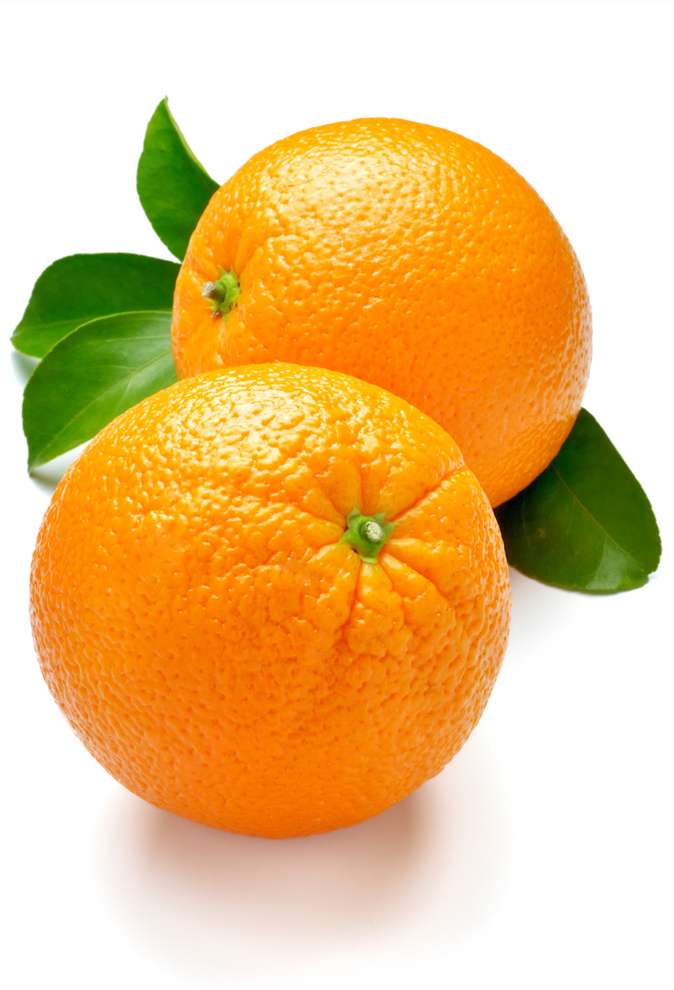 六月前柑桔樹管理技術要點