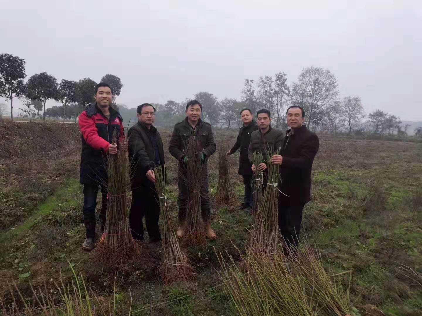 積極參與扶貧攻堅戰，樹人公司在行動