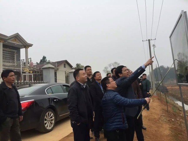 湖南樹人農(nóng)林科技有限公司,湖南柑橘品種銷售,落葉果樹類銷售,常綠果樹類哪里好