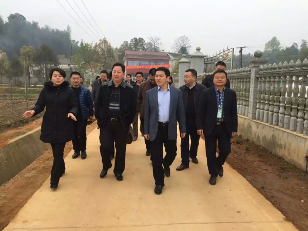 湖南樹人農(nóng)林科技有限公司,湖南柑橘品種銷售,落葉果樹類銷售,常綠果樹類哪里好