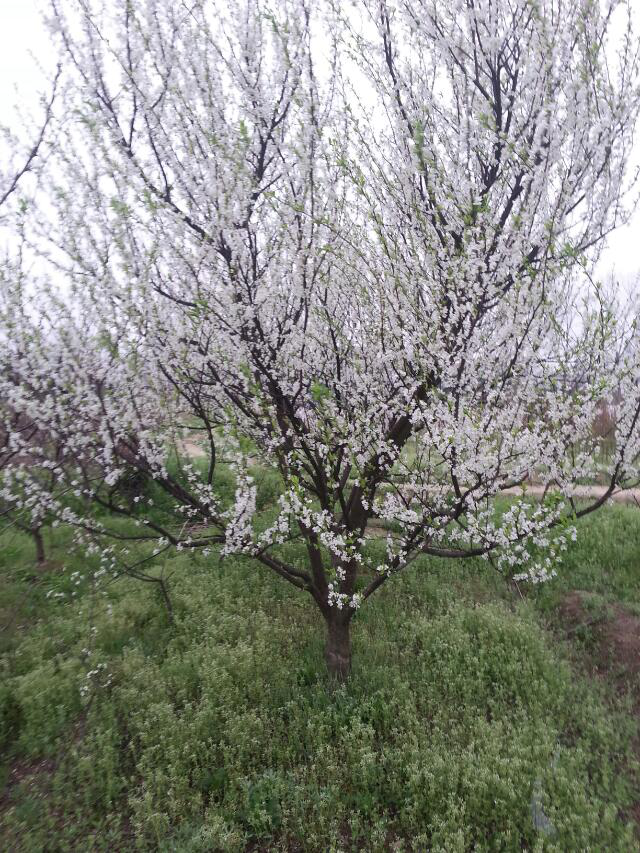 常德市萬路達物流股份有限公司,常德危險品運輸服務(wù),普貨運輸服務(wù),物流生活服務(wù)哪里好