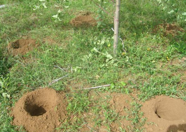 常德市萬路達(dá)物流股份有限公司,常德危險品運(yùn)輸服務(wù),普貨運(yùn)輸服務(wù),物流生活服務(wù)哪里好