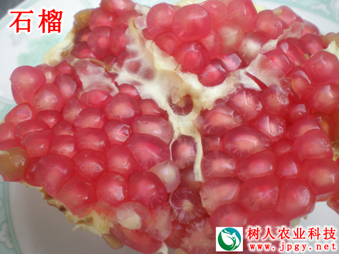 常德市萬路達物流股份有限公司,常德危險品運輸服務,普貨運輸服務,物流生活服務哪里好