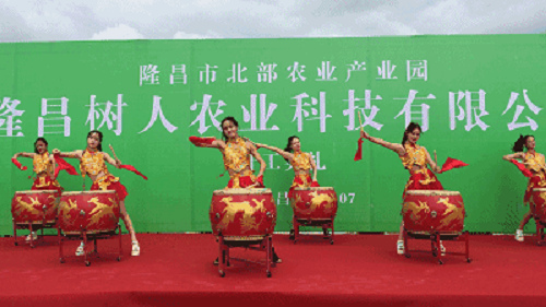 湖南樹人農(nóng)林科技有限公司,湖南柑橘品種銷售,中國(guó)果樹網(wǎng),常綠果樹類哪里好