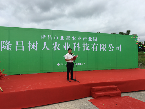 湖南樹人農(nóng)林科技有限公司,湖南柑橘品種銷售,中國(guó)果樹網(wǎng),常綠果樹類哪里好