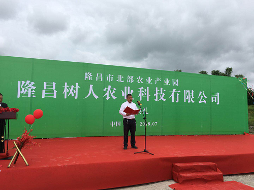 湖南樹人農(nóng)林科技有限公司,湖南柑橘品種銷售,中國(guó)果樹網(wǎng),常綠果樹類哪里好