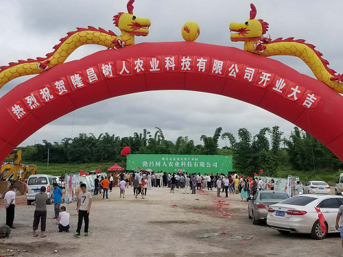 湖南樹人農(nóng)林科技有限公司,湖南柑橘品種銷售,中國(guó)果樹網(wǎng),常綠果樹類哪里好