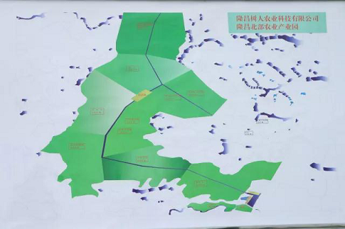 湖南樹人農(nóng)林科技有限公司,湖南柑橘品種銷售,中國(guó)果樹網(wǎng),常綠果樹類哪里好