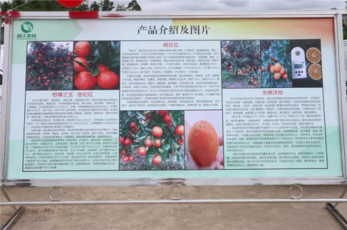 湖南樹人農(nóng)林科技有限公司,湖南柑橘品種銷售,中國(guó)果樹網(wǎng),常綠果樹類哪里好