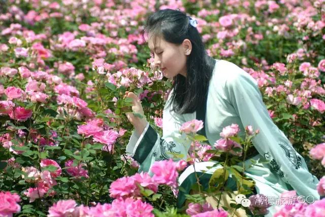 湖南樹人農林科技有限公司,湖南柑橘品種銷售,中國果樹網,常綠果樹類哪里好