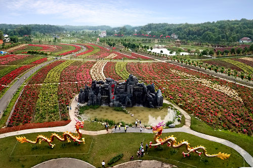 湖南樹(shù)人農(nóng)林科技有限公司,湖南柑橘品種銷售,中國(guó)果樹(shù)網(wǎng),常綠果樹(shù)類哪里好