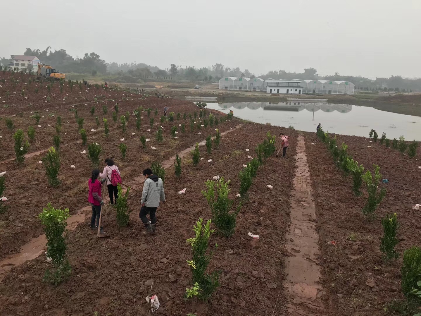 基地建設 基地建設