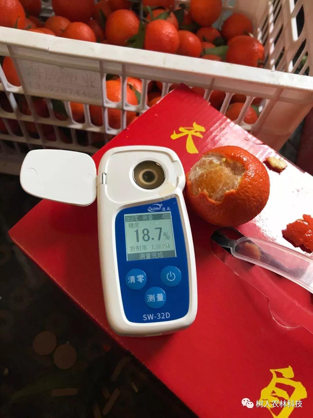 湖南樹(shù)人農(nóng)林科技有限公司,湖南柑橘品種銷(xiāo)售,中國(guó)果樹(shù)網(wǎng),常綠果樹(shù)類(lèi)哪里好