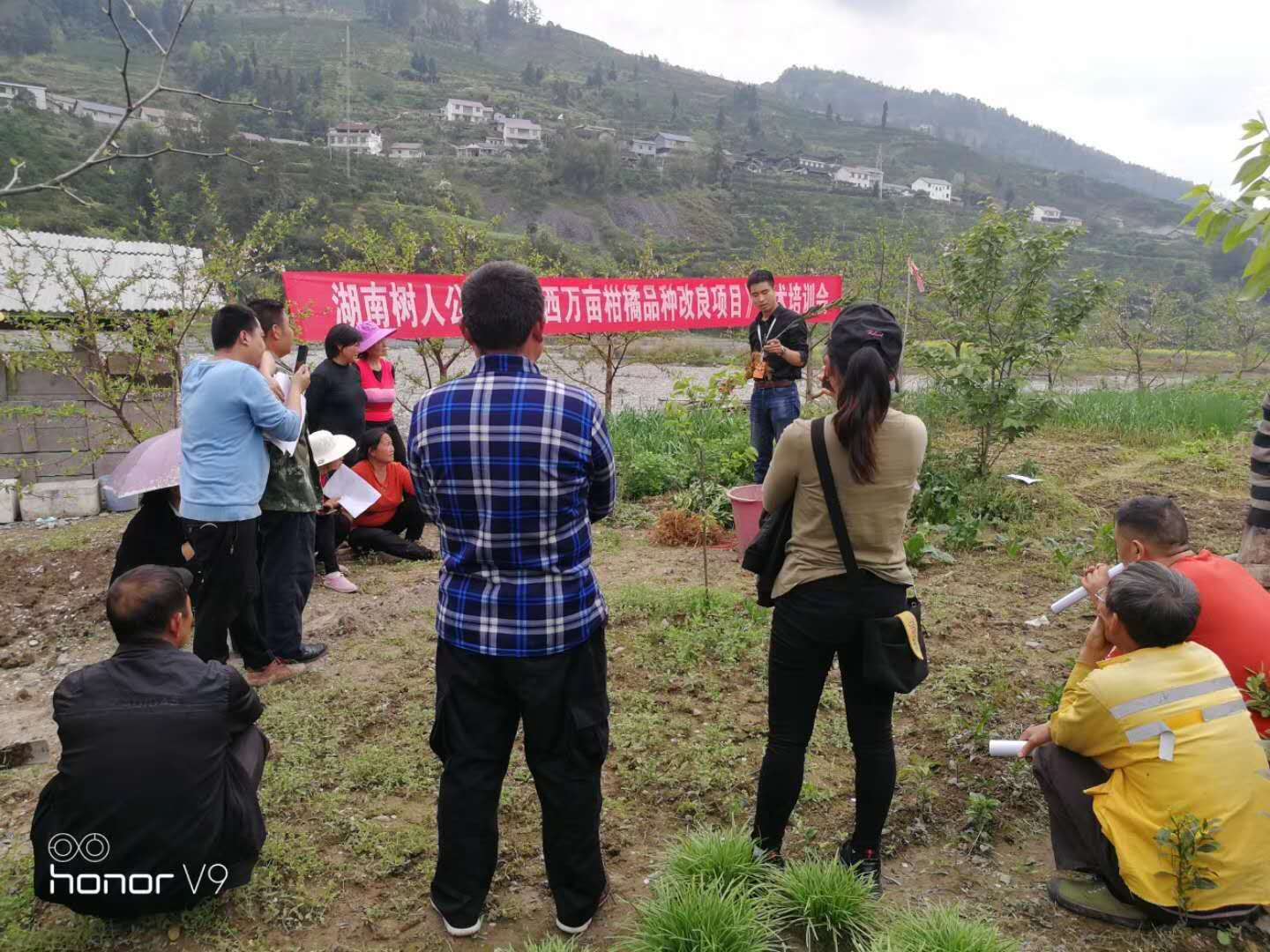 湖南樹人農林科技有限公司,湖南柑橘品種銷售,中國果樹網,常綠果樹類哪里好