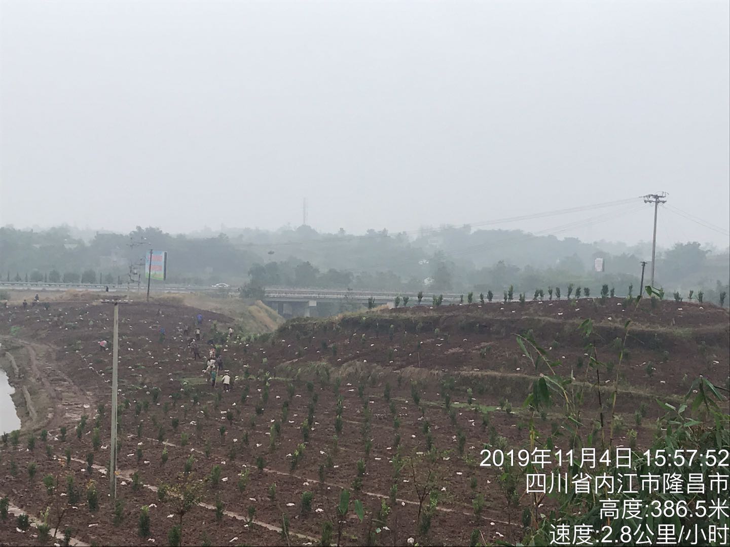 湖南樹人農林科技有限公司,湖南柑橘品種銷售,中國果樹網,常綠果樹類哪里好 湖南樹人農林科技有限公司,湖南柑橘品種銷售,中國果樹網,常綠果樹類哪里好