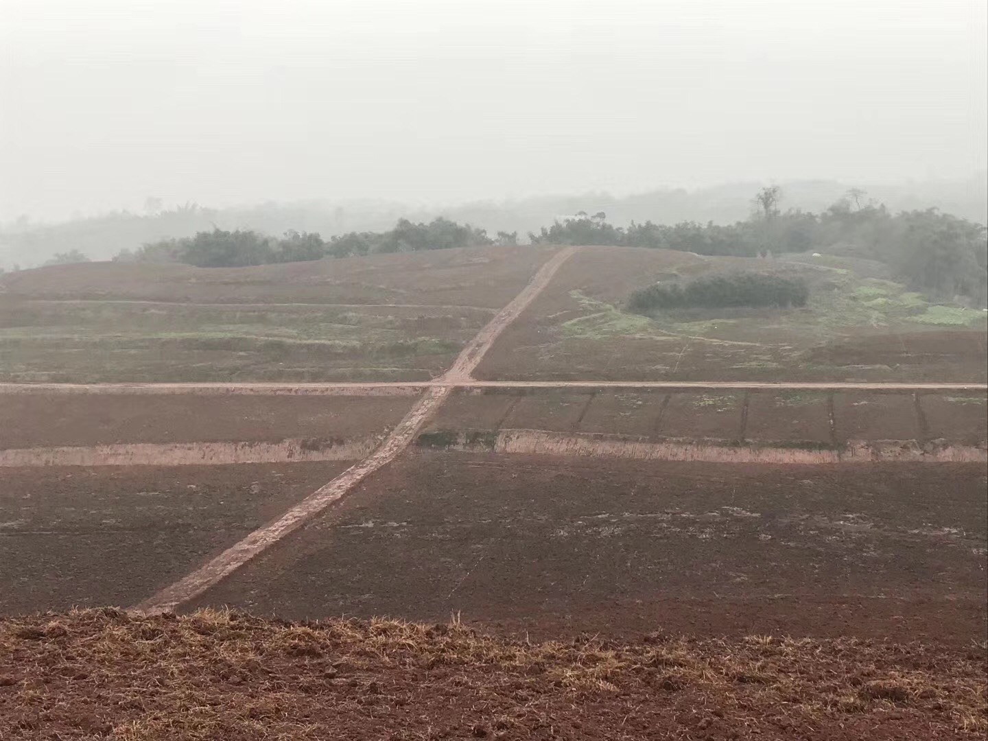 湖南樹人農林科技有限公司,湖南柑橘品種銷售,中國果樹網,常綠果樹類哪里好 湖南樹人農林科技有限公司,湖南柑橘品種銷售,中國果樹網,常綠果樹類哪里好