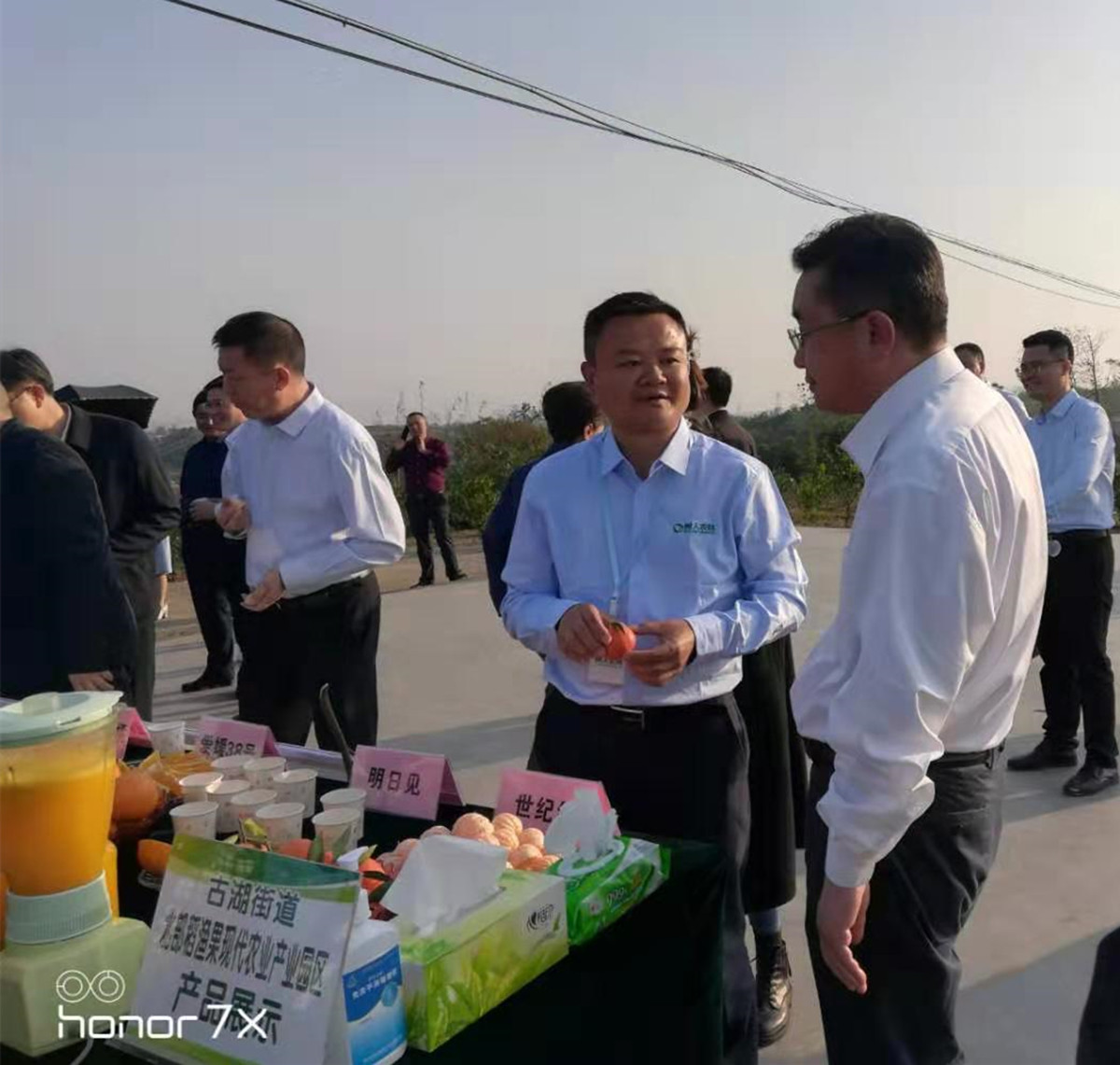 湖南樹人農林科技有限公司,湖南柑橘品種銷售,中國果樹網,常綠果樹類哪里好 湖南樹人農林科技有限公司,湖南柑橘品種銷售,中國果樹網,常綠果樹類哪里好